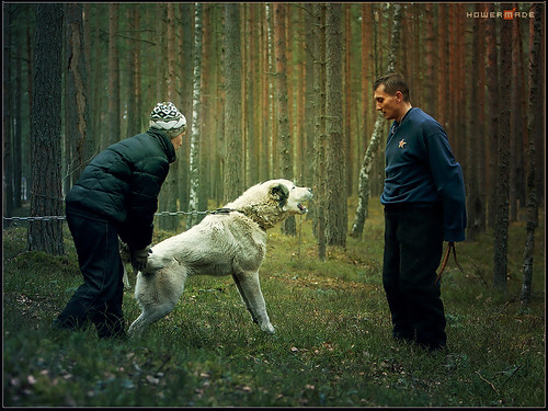 Izhora_Guarddogs_109 | by Yul Mollenhauer