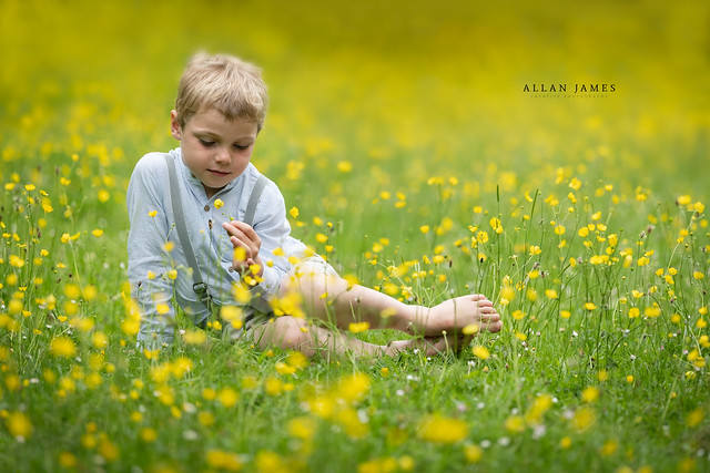 Lost Among the Buttercups...