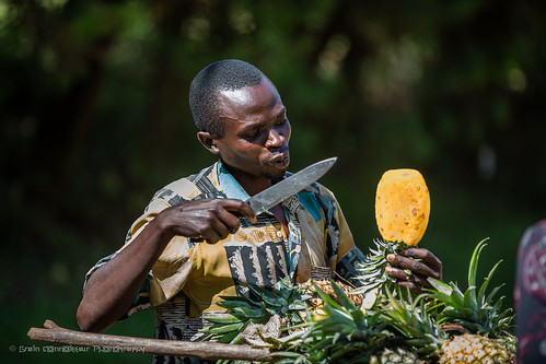 seller portrait knife pineapple man 2017 africa igara westernregion uganda ug gidzinski gidzinska grainconnoisseur
