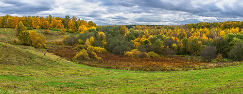 nature autumn october landscape sky cloud russia moscow tsaritsyno park forest tree field grass wood road