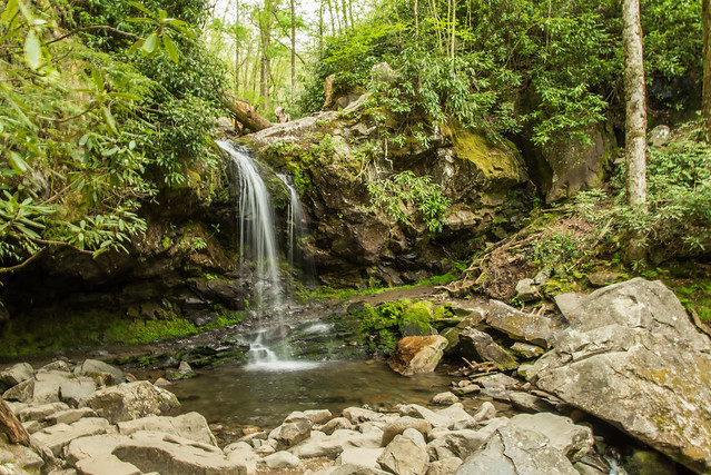 Grotto Falls - Great Smoky Mountains National Park