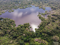 Dronepix above Rio Napo, Ecuador