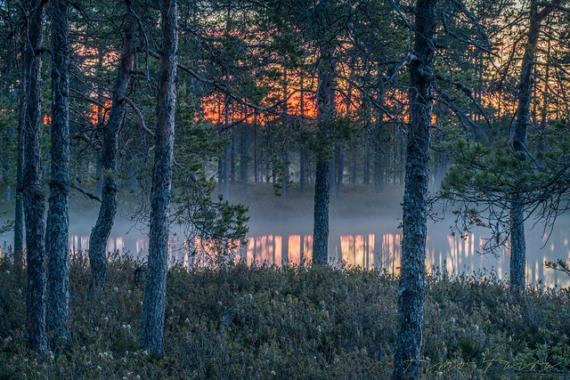 Kauhaneva - Kauhaneva National Park in western part of Finland