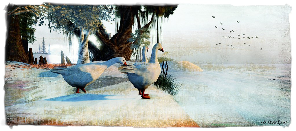 Three geese