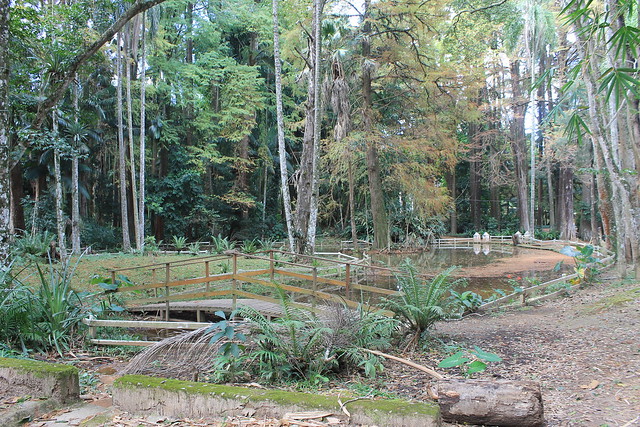 Parque Estadual Alberto Löfgren - Horto Florestal de São Paulo