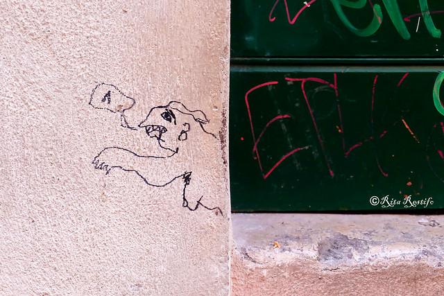 Roma. Trastevere. Street art by ...