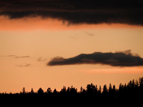 sunset sky cloud trees silhouette dusk