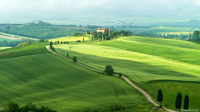 val d'Orcia-018