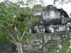 Tikal, Acrópolis Central, foto: Petr Nejedlý
