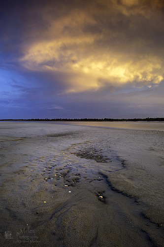sunset low tide river gold cloud
