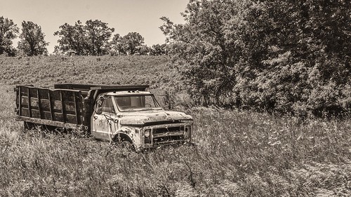 truck ruraldecay sepia platinum monochrome blackandwhite amanacolonies homestead iowa grass trees roadside nikond7100 afsdxvrnikkor18200mmf3556gifed oliverleverittphotography