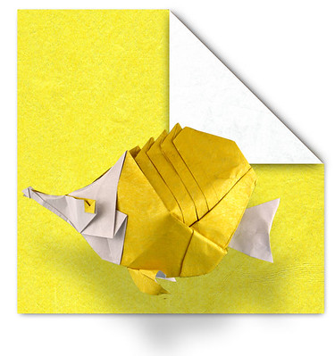 Pack Tissue-foil ORIGAMI-SHOP Tissue-foil Pack : Everything for origami:  Books, papers and instructions for beginners
