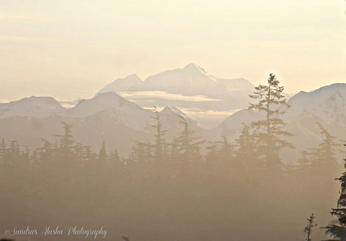 IMG_3985 by sandrasalaskarecipesphotographyretail, SANDRA'S ALASKA PHOTOGRAPHY-May 2018 Yakutat Alaskasandras alaska photography may 2018 yakutat deer 