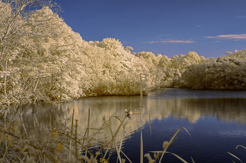 pentax k5 smcpentaxk30mmf28 ir infrared hoyar72 720nm falsecolour trees mine dam dudley newcastle dailyinjune2018