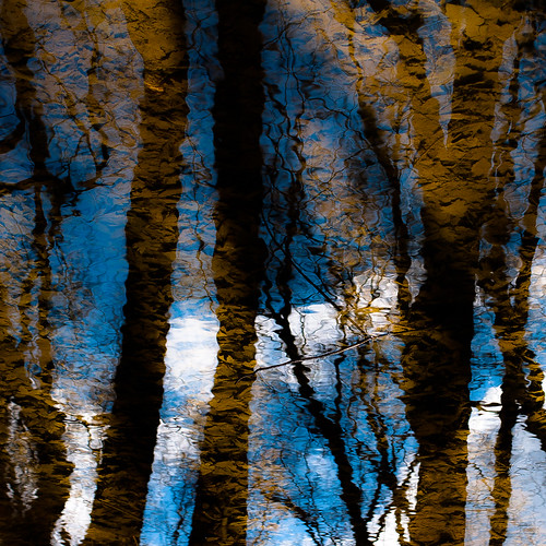 captaindanielwrightwoods d5000 desplainesriver nikon abstract blur branches clouds distortion forest landscape leaves natural noahbw reflection ripples river silhouette sky square trees water winter woods