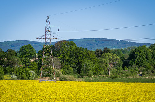 hills hill power lines electric trees poland silesia lower bogatynia sky landscape field pylon canola rapeseed blue green yellow pentax