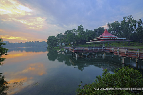 _DSC6782 by K S Kong, MacRitchie Reservoir 麦里芝蓄水池sunrise e sony availablelight pixelshiftmultishooting macritchiereservoir