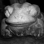 #6596 stone frog