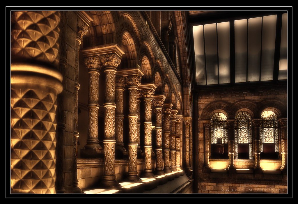 Arches and Columns in the Natural History Museum by Different Light Photography [different-light.com]