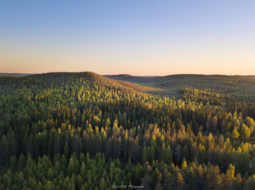 suomi finland laukaa keskisuomi sunset forest hill light evening summer sky warm colors dji mavic pro fc220 aerial photography amazing europe drone sun trees shadows