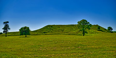 East View of 'Monks Mound' -- Cahokia Mounds State Historic Site near Collinsville (IL) June 2018