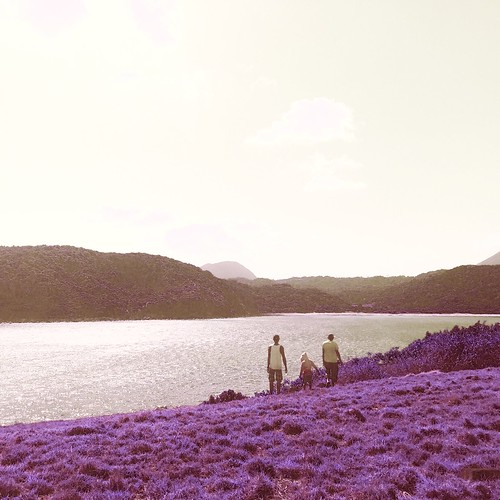 hipstamatic marshalllens irom2000film purpleraindropsgelflash