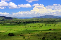 Madagascar: Ambilobe plains