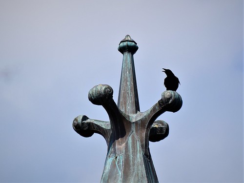 Crow on a Gothic tower
