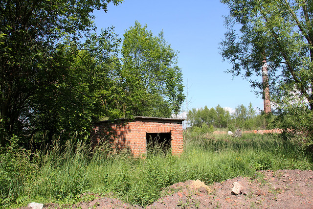Derelict brick works complex , Ścinawka Średnia village 08.06.2018