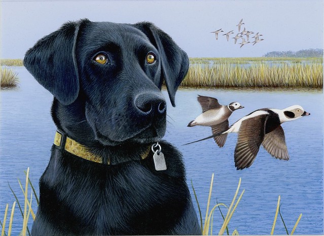PAINTING OF A BLACK LAB IN A MARSH