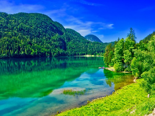 lake hintersteiner see trees forest reflection water grass green sky blue tyrol tirol austria österreich europe europa iphone