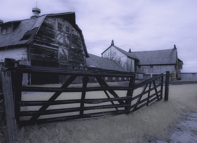 Old barn,  infrared