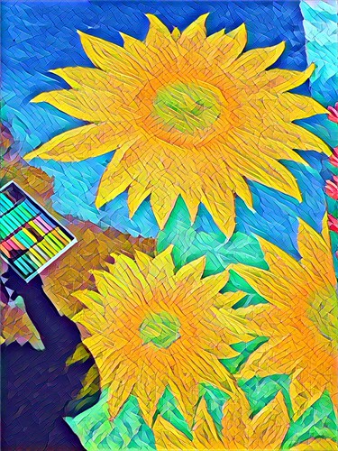 Snapping some sun | by Damian Gadal