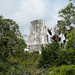 Tikal, pohled z chrámu II na špičku chrámu III, foto: Petr Nejedlý