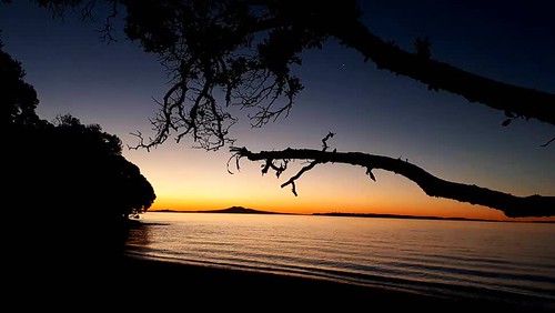 nofilter newzealand auckland beachlands shellybay sunset water sea trees orange sky island ripples tree branch video pohutukawacoast