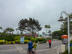 Photo 13 of 25 in the Day 8 - SeaWorld San Diego & Belmont Park gallery
