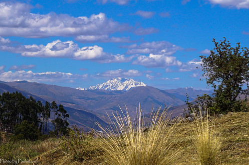 travel peru andes mountains landscape nature tree cusco ausangate snow cloud grass sacsayhuaman
