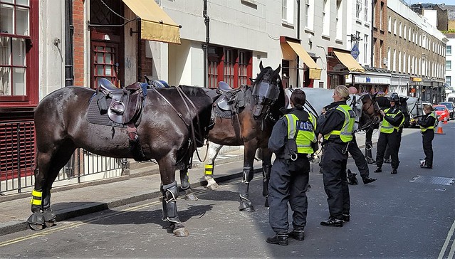 London Metropolitan Police Mounted Division