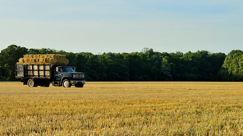nikon d3200 outdoors hay farm truck sunset bales