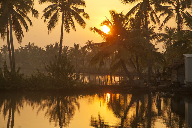 Sunrise over the small holding, Munroe Island, Kerala, India