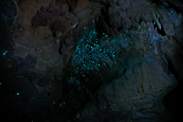 Waipu cave {explored}