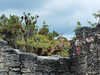 Tikal, Mundo Perdido, foto: Petr Nejedlý
