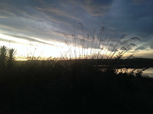IMG_2312 by sebastian.elsen, 