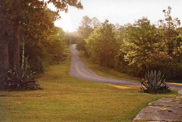 The Country Road