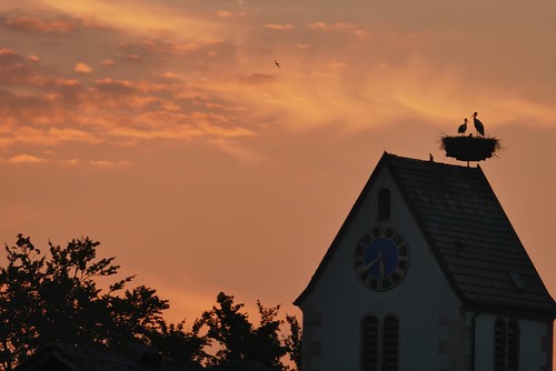 the storks in their nest on the church tower (2) by mgheiss, <a href="https://www.flickr.com/photos/141685066@N03/41619450755/in/dateposted-public/">www.flickr.c