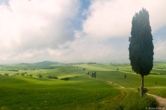 val d'Orcia-022