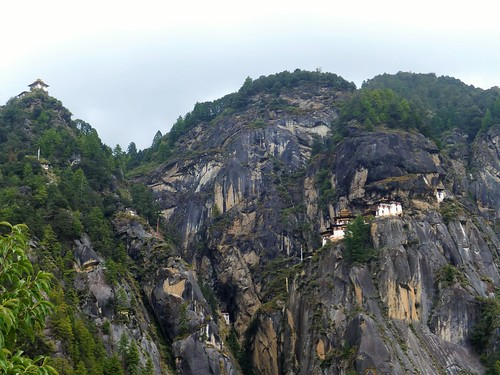 paro bhutan asia tigersnest monastery taktsanggompa taktsang gompa cliff outdoors nature forest trees