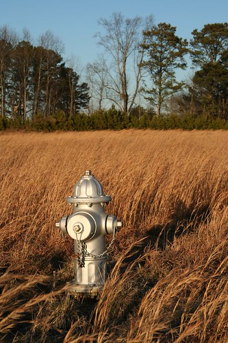 field hydrant georgia