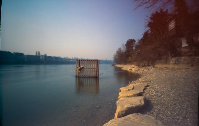 Rhine at Solitude Park (explored)