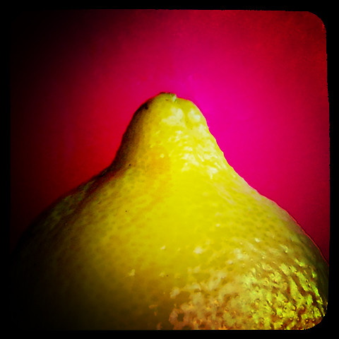 lemon macro against pink background